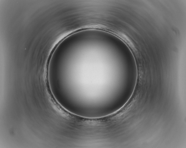 X0000111201044200907011429