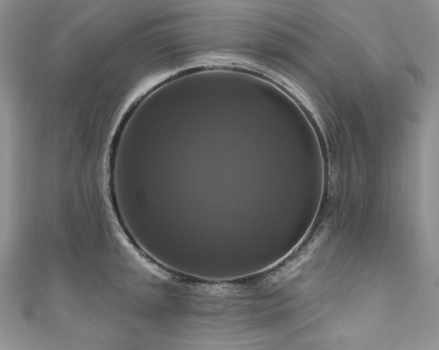 X0000111201045200907011429