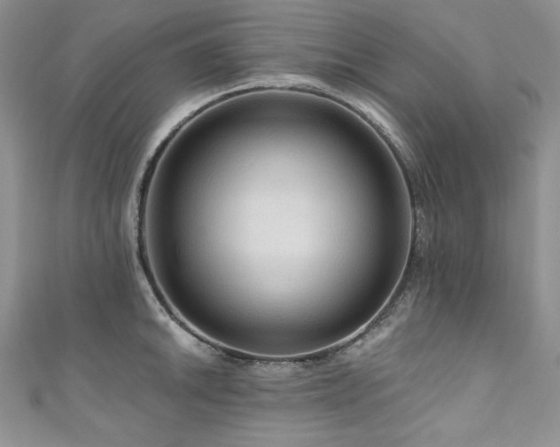 X0000111201046200907011429