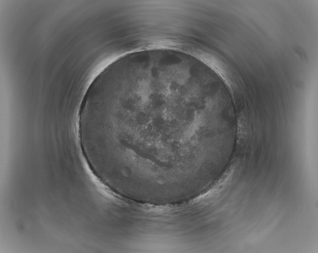 X0000111201047200907011429