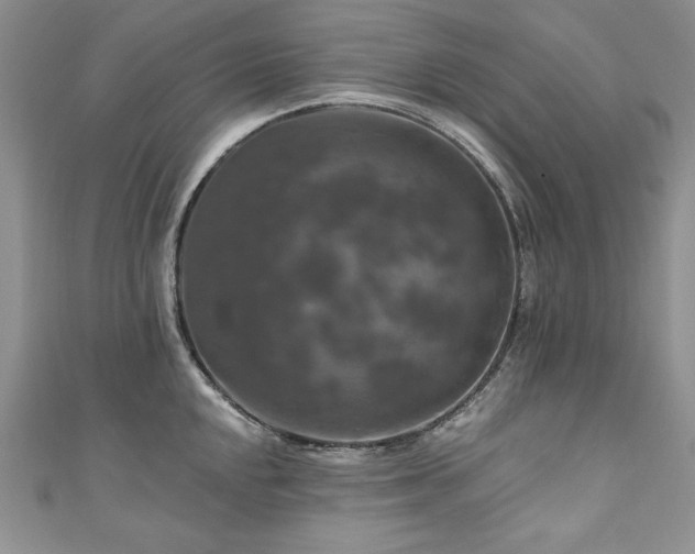 X0000111201048200907011429