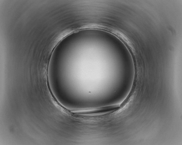 X0000111201049200907011429