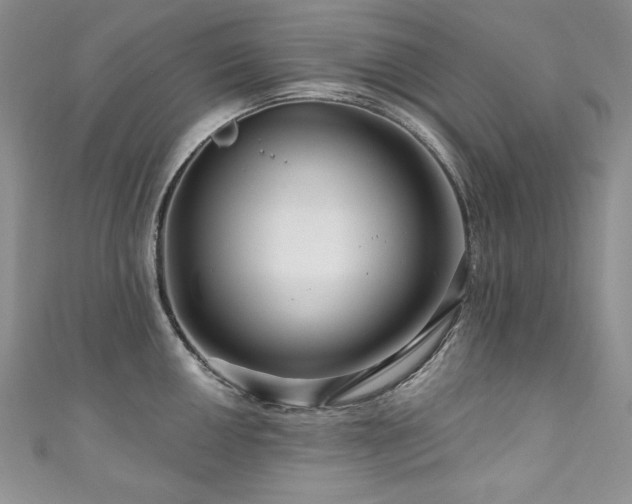 X0000111201050200907011429