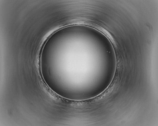 X0000111201051200907011429