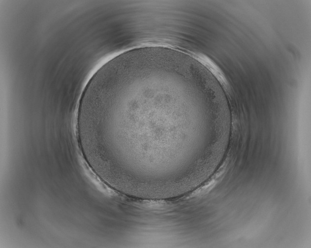 X0000111201052200907011429