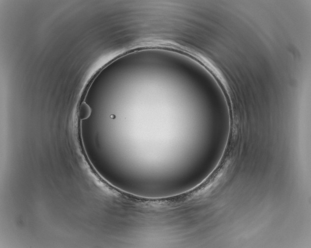 X0000111201053200907011429