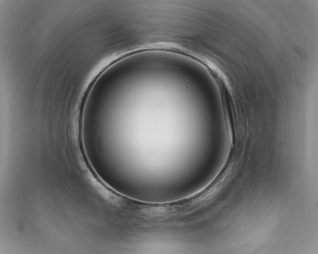 X0000111201054200907011429