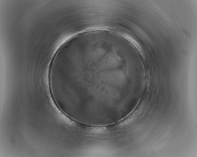 X0000111201055200907011429