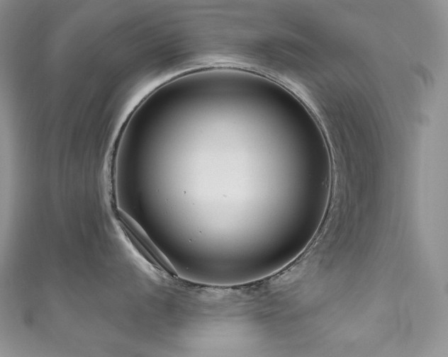 X0000111201056200907011429