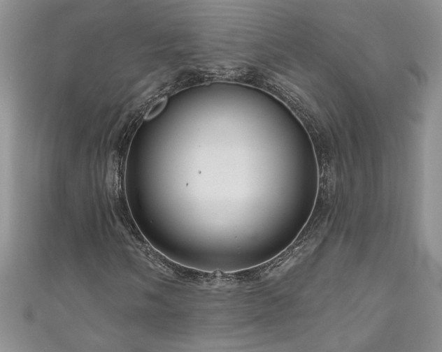 X0000111201058200907011428