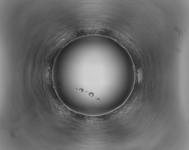 X0000111201059200907011428