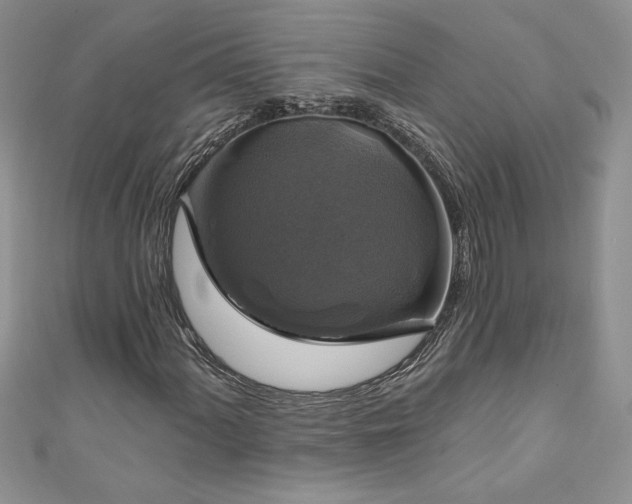 X0000111201060200907011428