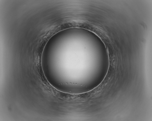 X0000111201061200907011428