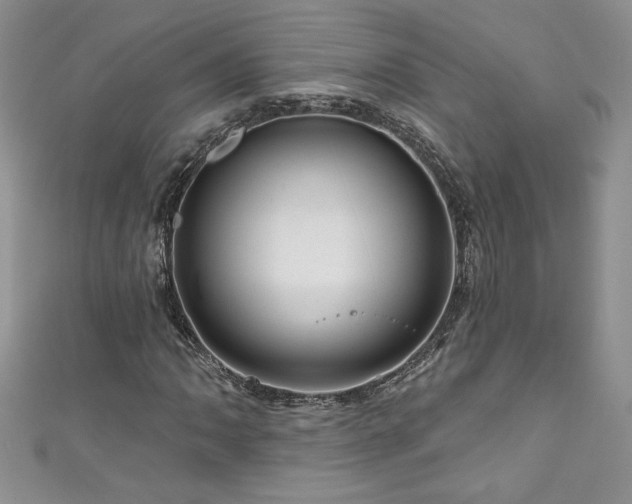 X0000111201062200907011428