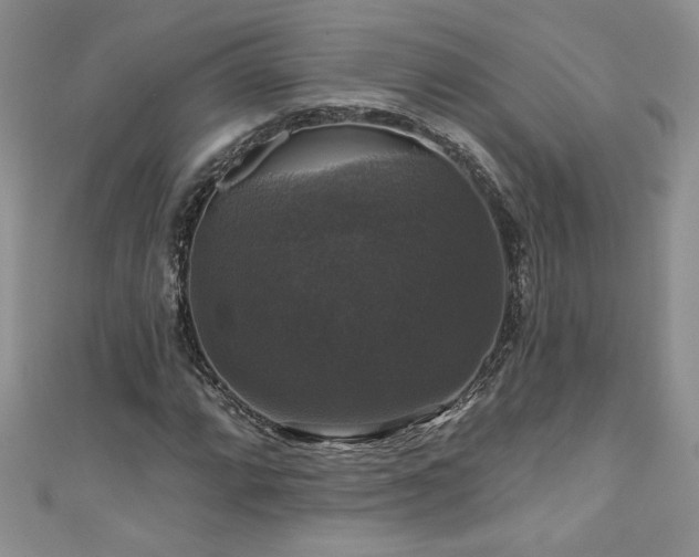 X0000111201064200907011428