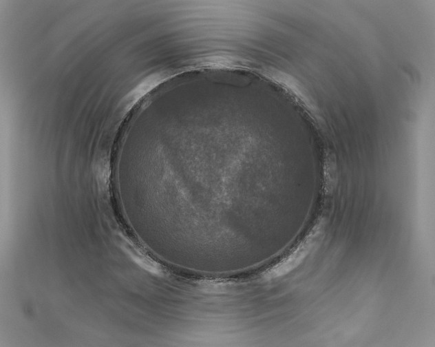 X0000111201065200907011428