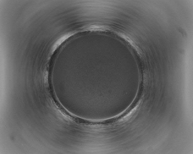 X0000111201066200907011428