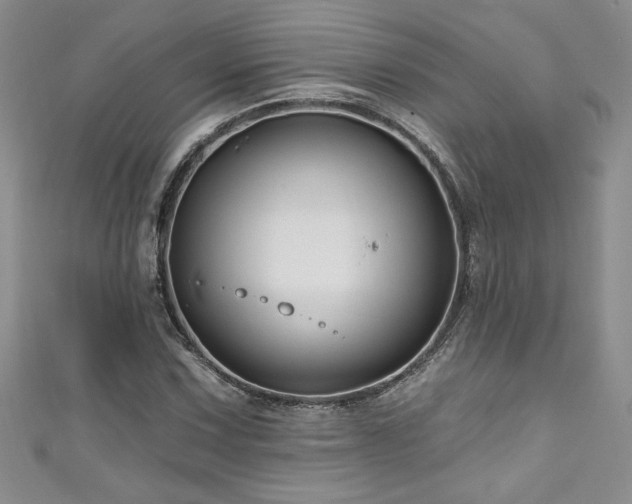 X0000111201067200907011428