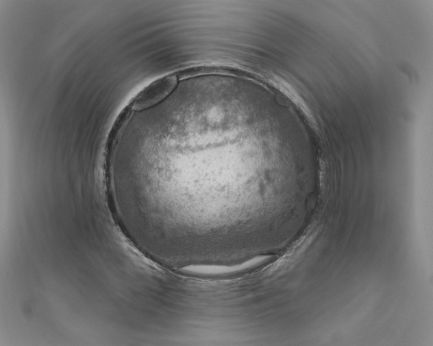 X0000111201068200907011428