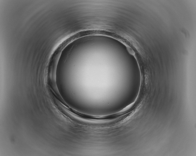 X0000111201069200907011428