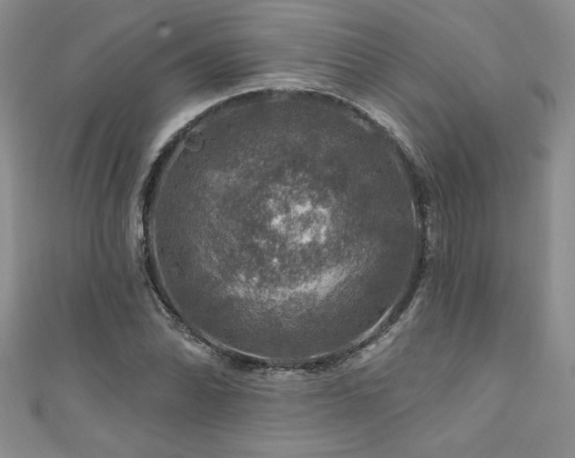 X0000111201070200907011428