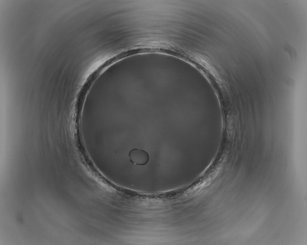 X0000111201071200907011428