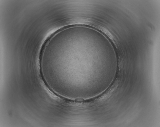 X0000111201072200907011428
