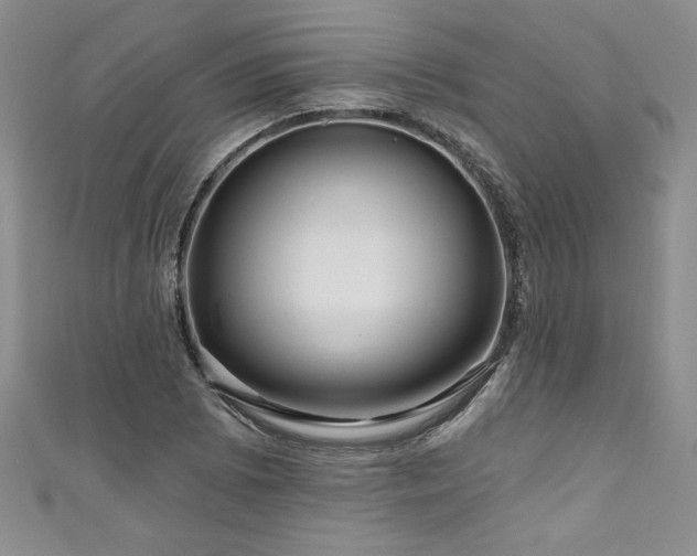 X0000111201073200907011428