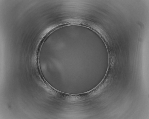 X0000111201074200907011428