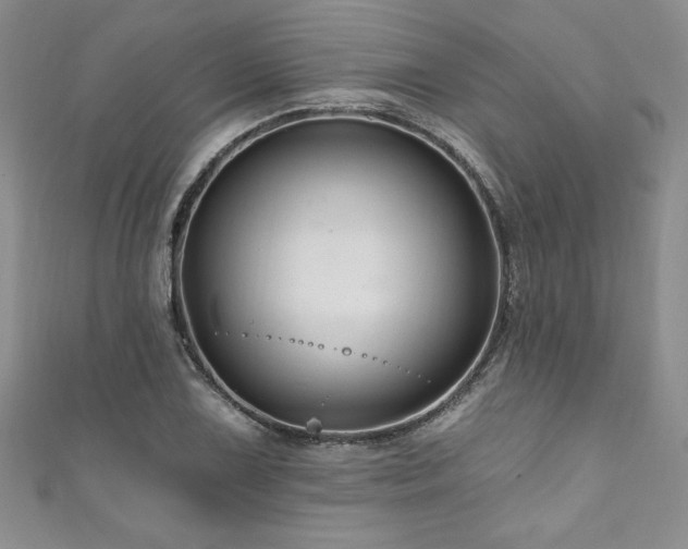 X0000111201075200907011428