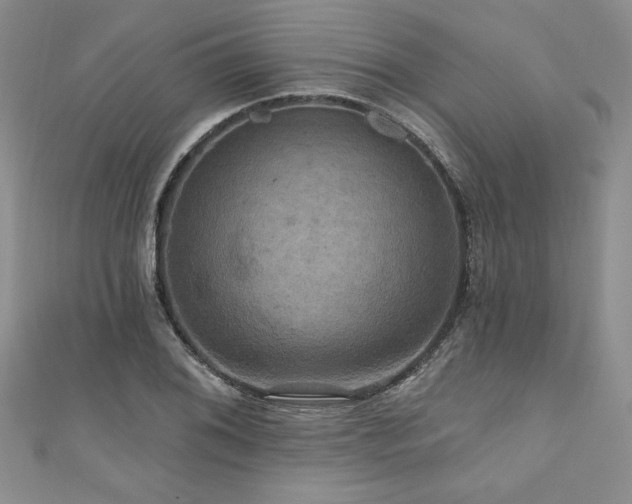X0000111201076200907011428