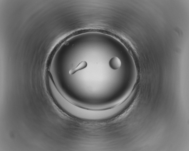 X0000111201077200907011428