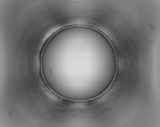 X0000111201078200907011428