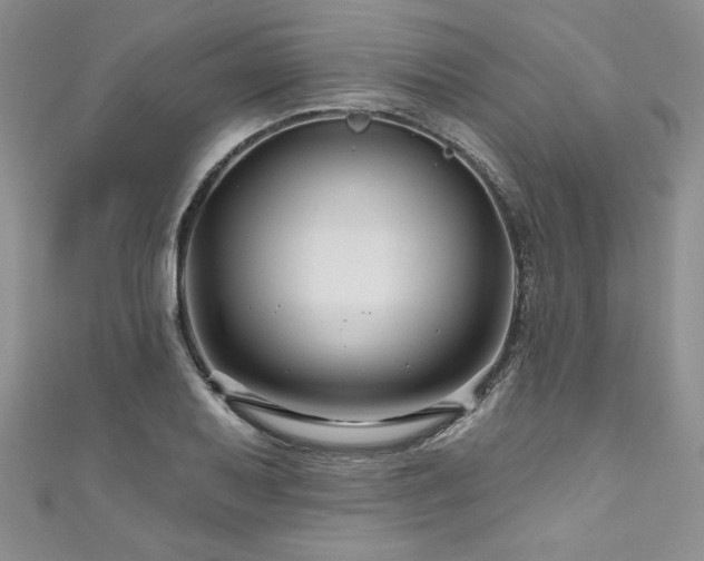 X0000111201079200907011428