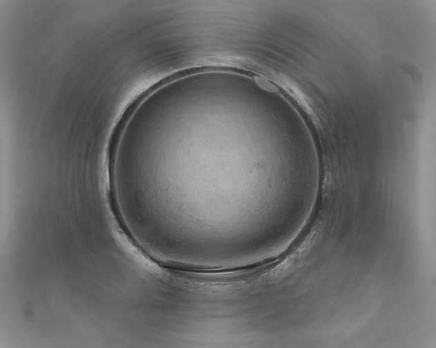 X0000111201080200907011428