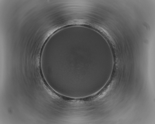 X0000111201081200907011428