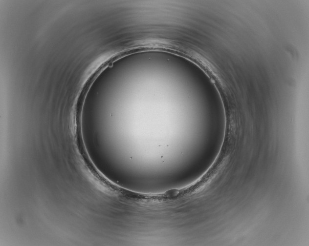 X0000111201082200907011428