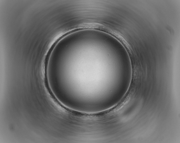 X0000111201083200907011428
