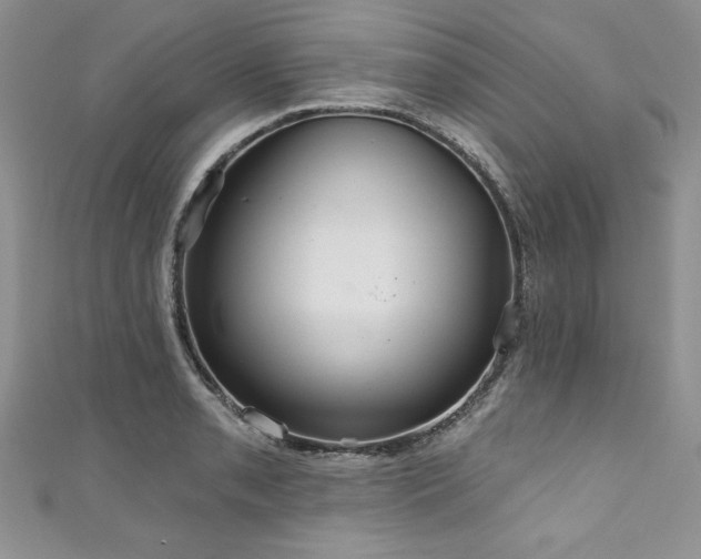 X0000111201085200907011428
