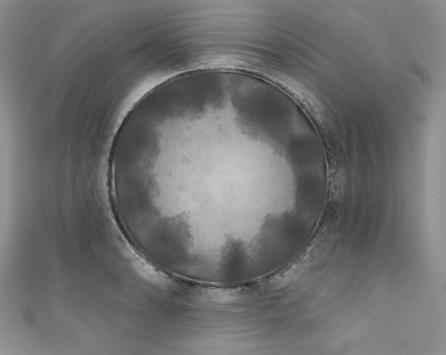 X0000111201086200907011428