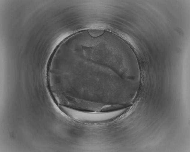 X0000111201087200907011428
