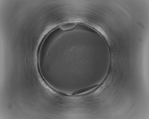 X0000111201088200907011428