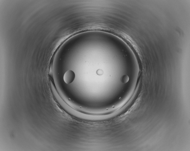 X0000111201089200907011428