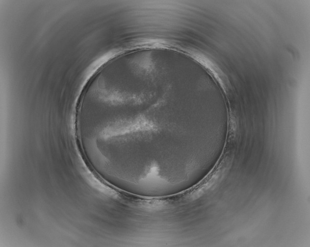 X0000111201090200907011428