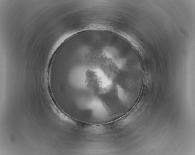 X0000111201094200907011428