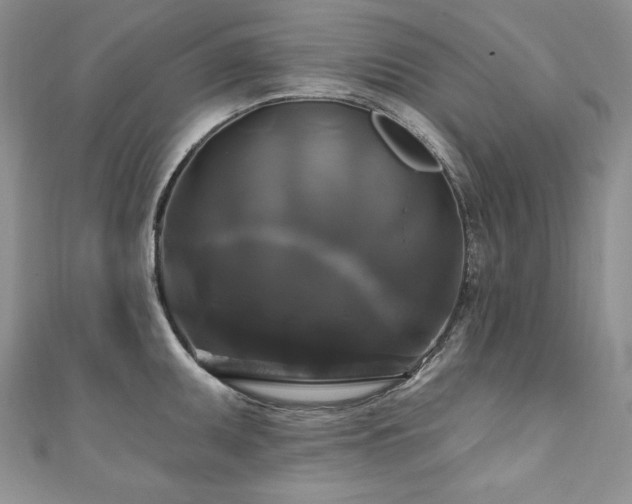X0000111201095200907011428