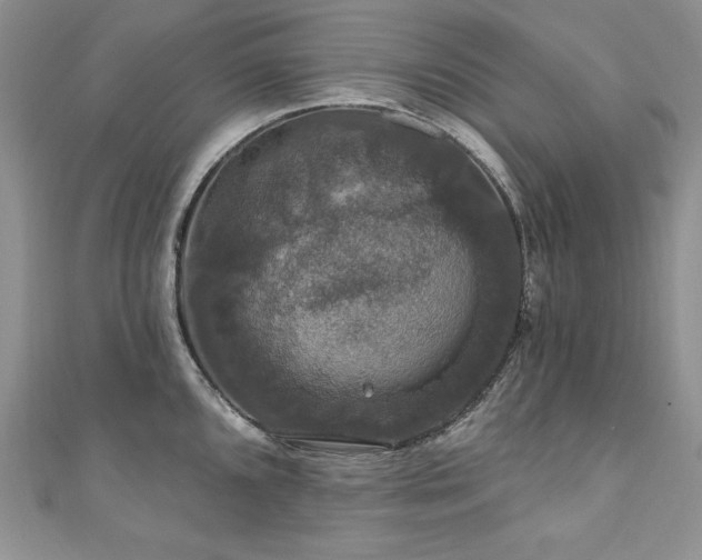 X0000111201096200907011428