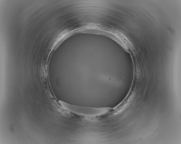 X0000111201097200907011428