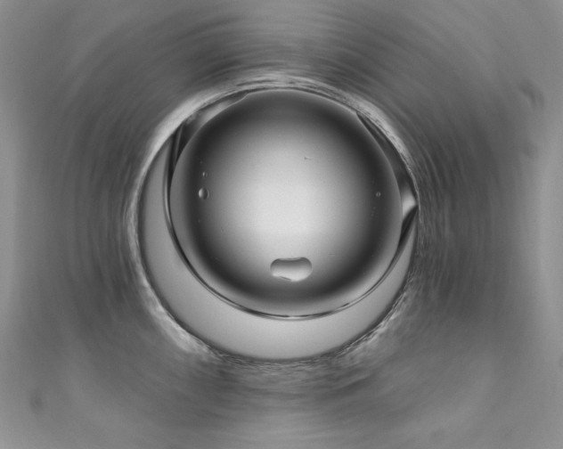 X0000111201098200907011428