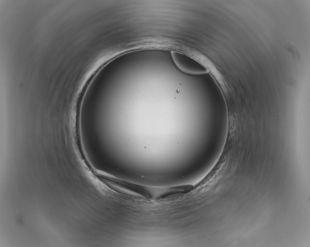 X0000111201099200907011428